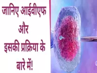 ivf in hindi 